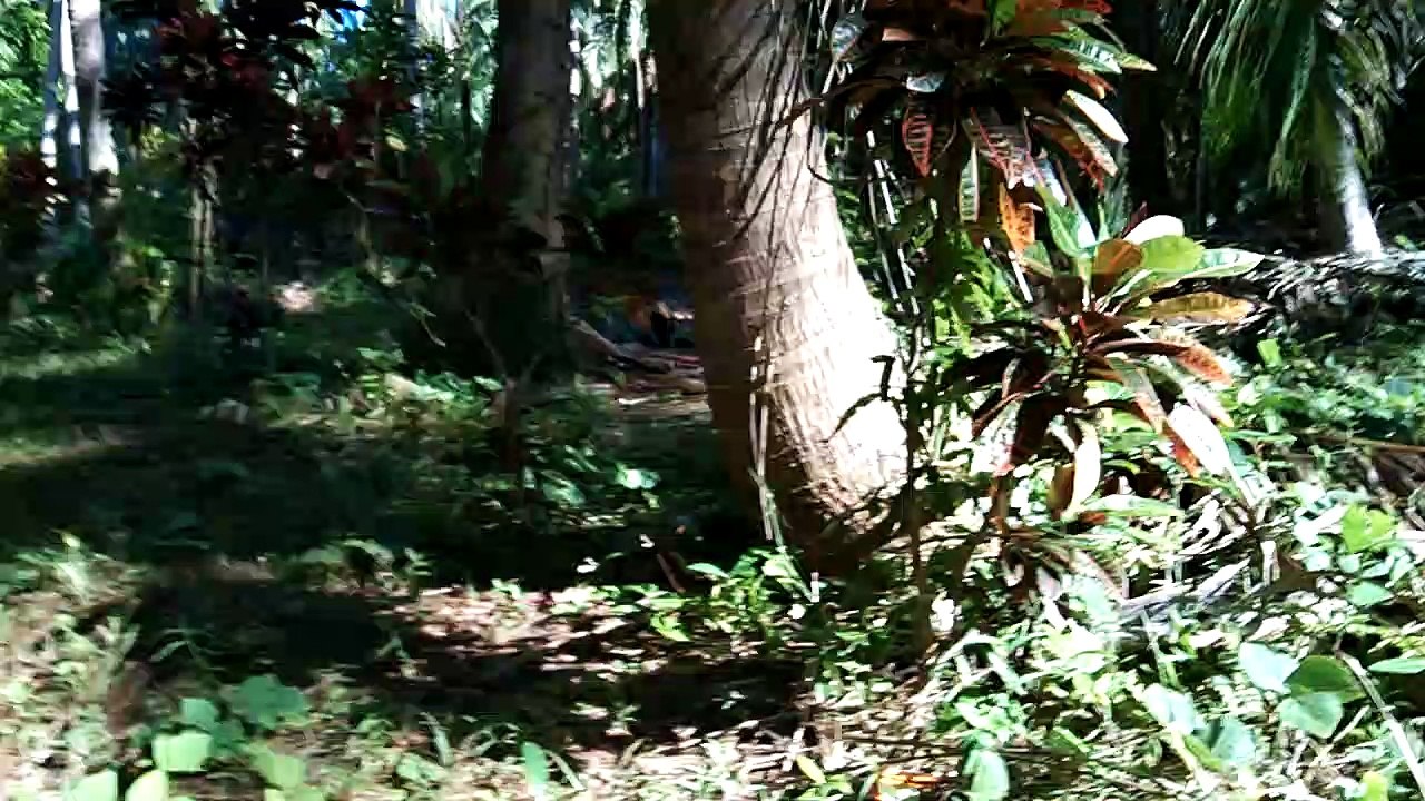 sitio pulo