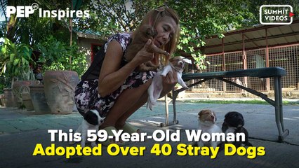 Watch why this woman chose to adopt over 40 stray dogs | PEP Inspires