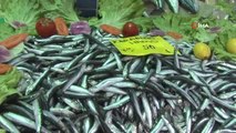 Hamsinin kilosu 2 kat artarak 50 liraya çıktı