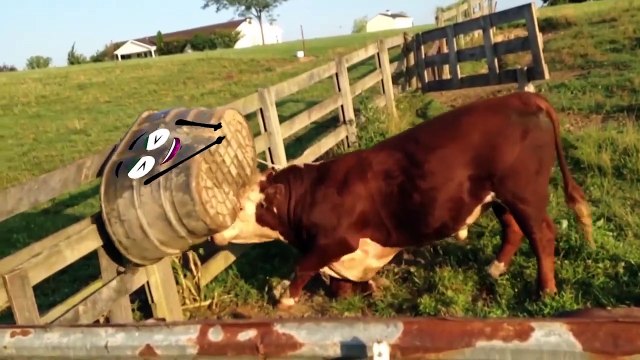 Hewan Liar vs Doodle Mobil | Doodle Hewan Lucu Gagal | Doodle