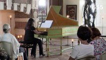 Scarlatti : Sonate pour clavecin en la mineur K 175 L 429, par Carole Cerasi - #Scarlatti555