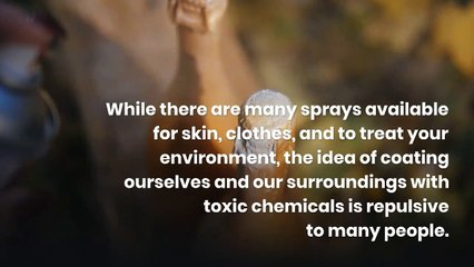 Tara Bernardin | 6 Fragrant Herbs & Plants that repel flies