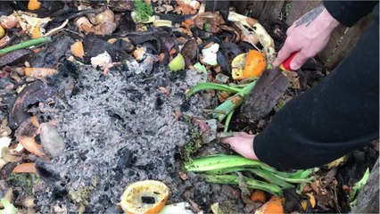 Les nouveaux terriens - Jérémie Pichon : 1 bocal de déchets par an