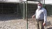 ZONGULDAK - Hayvanat bahçesinden kaçırılan alageyiğin tüfekle vurulması