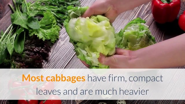 Corned beef and cabbage – not just a St Patrick’s Day meal | Moon TV News