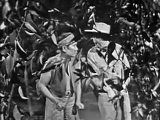 Tales Of Tomorrow The Fury Of The Cocoon 1