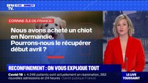 Peut-on aller récupérer des animaux en élevage pendant le confinement? - BFMTV répond à vos questions