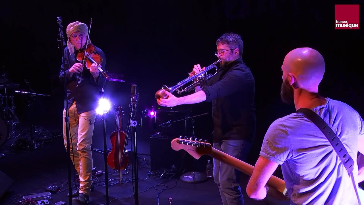 Michael Nick, Nicolas Souchal & Simon Henocq : En somme les phoques (Trio Gummi)