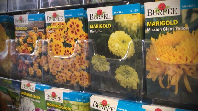 Fresh trends to inspire your garden