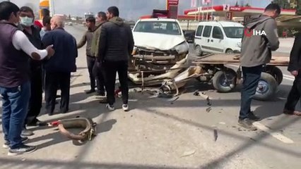 Şanlıurfa’da kamyonet ile at arabası çarpıştı: 1 yaralı
