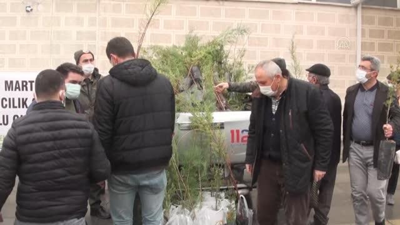 Beypazarı Orman İşletme Müdürlüğü 16 bin fidan dağıttı