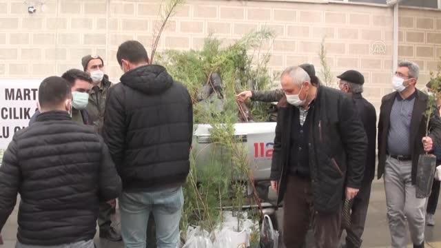 Beypazarı Orman İşletme Müdürlüğü 16 bin fidan dağıttı