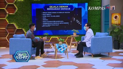 Menekan Laju DBD Di Masa Pandemi - AYO SEHAT