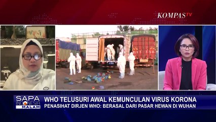 Corona Berasal dari Pasar Huanan Wuhan, WHO Fokus Investigasi di Daerah Asia Tenggara, Kenapa?