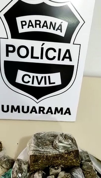 Polícia Civil de Umuarama prende traficante e apreende maconha