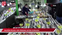 2,5 metre 98 kilogramlık kılıç balığı 1 saatte tükendi