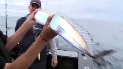 Ce pêcheur découvre un magnifique poisson argenté du Pacifique du nord