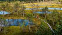 This Epic New Hiking Trail Connects National Forests in Estonia, Latvia, and Lithuania