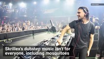 This One Musical Artist Could Help Protect You Against Mosquito Bites