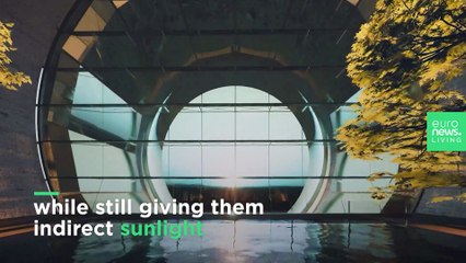 Plans for the first sustainable city on Mars unveiled