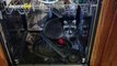 Rinsing Raccoon! Police Discover Raccoon Resting Inside Dishwasher!