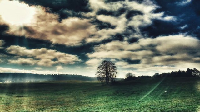 Le temps a laissé son manteau (POLNAREFF) - Cover Vincent Prudhon