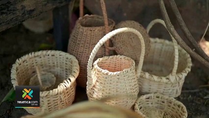 tn7-concurso-premiara-con-doce-millones-a-artesanos-de-cesteria-190321