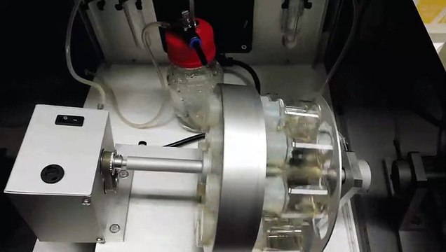 Así cultivan embriones de ratón, ¿los humanos seremos los próximos?