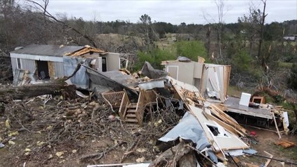Woman clinging to tree survives a tornado