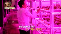 영양액 전량 재사용으로 오폐수 ZERO!? 식물 공장만의 특별한 기술!