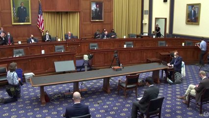 미 하원, 30여 년 만에 첫 아시아계 차별 청문회 열어 / YTN