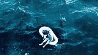 Terrifying Secret Of a Girl Who Was Found Adrift At Sea In 1961
