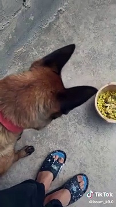 Issam_Frids_short_video_with_son_original1c