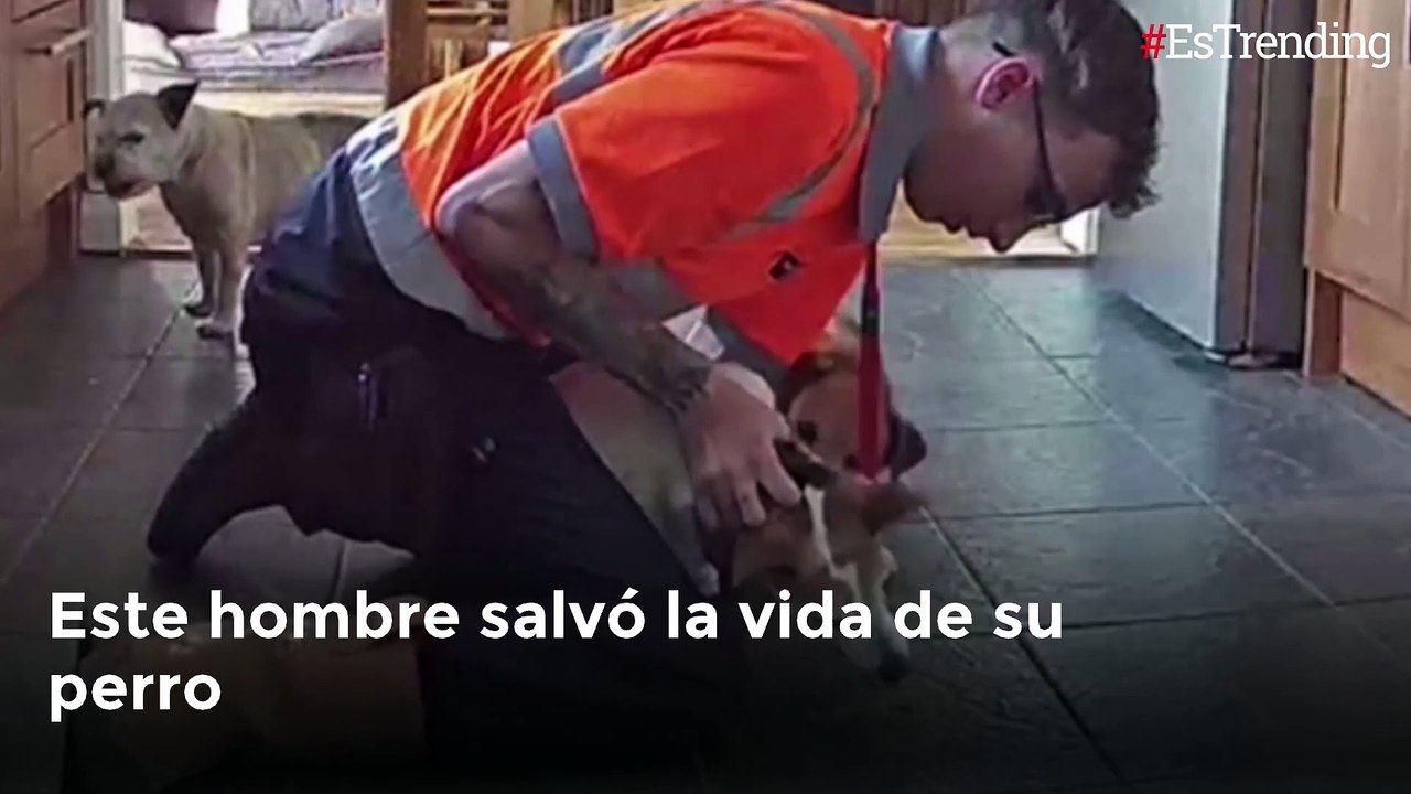 En el momento oportuno: hombre salva a su perro tras ahogarse con comida