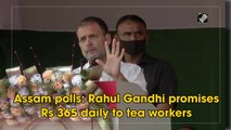 Assam polls: Rahul Gandhi promises Rs 365 daily to tea workers