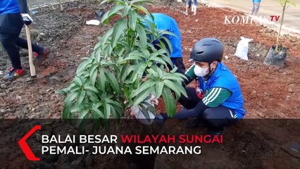 Peringati Hari Air Dunia Tanam Pohon di Sepanjang Sungai