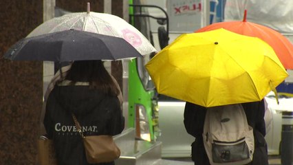 [날씨] 오늘 '춘분' 전국 봄비에 쌀쌀...내일은 강풍 / YTN