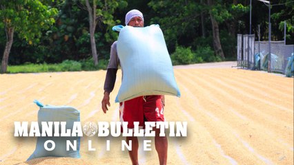 This man can lift a heavy sack of rice with his teeth!