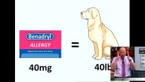 Determine Benadryl Dosage for Dogs