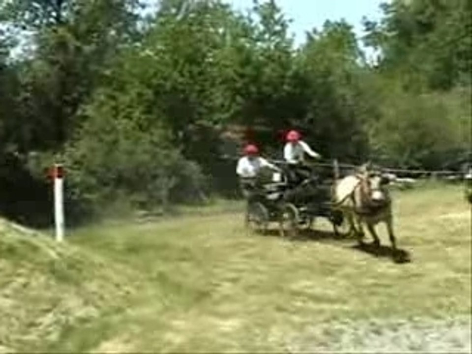 Concours st aignan 2004