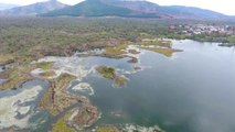 Hatay'daki volkanik Haydarlar Gölü göçmen kuşlara ev sahipliği yapıyor