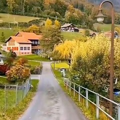 beautiful natural ❤️ whatsapp status