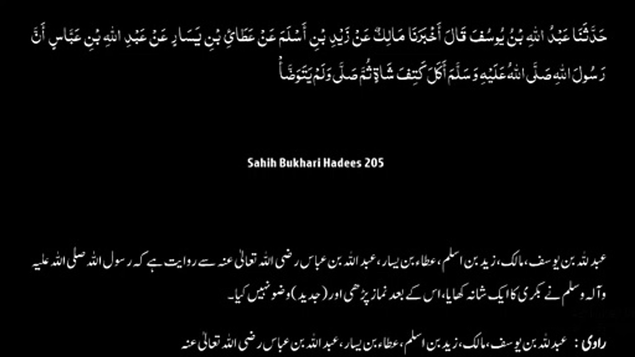 Watch *Hadith 205 Sahih Bukhari*