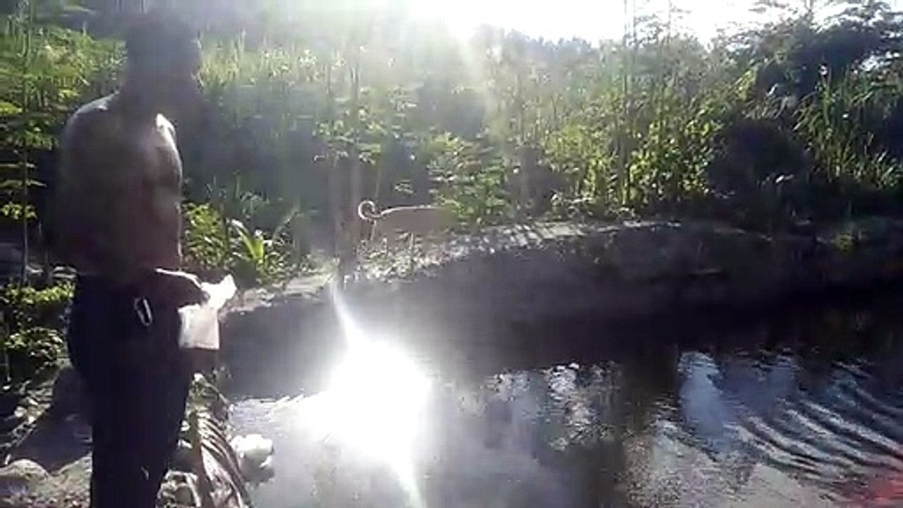 Feeding 