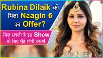 Rubina Dilaik Approached By Ekta Kapoor's Naagin 6 | Will Rubina Accept This Offer?