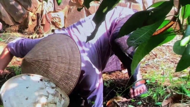 Hoài Linh thông cống ở nhà thờ 100 tỷ: Nổi tiếng cũng là người