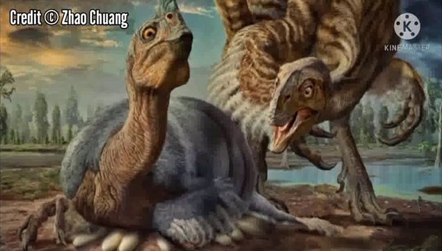 Discovery of a dinosaur preserved sitting on a nest of eggs with fossilized embryos