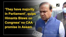‘They have majority in Parliament’, quips Himanta Biswa on Congress’ no CAA promise in Assam
