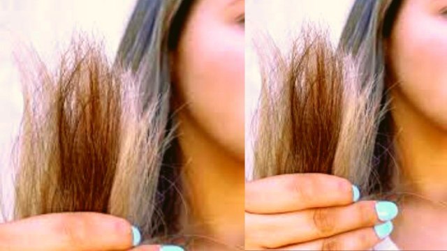 Split Ends: Aloe Vera Gel में मिलाएं ये 1 सस्ती सी चीज खत्म हो जाएंगे दोमुंहे बाल | Boldsky
