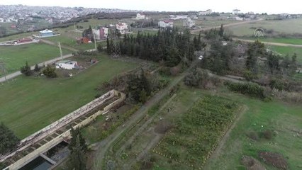 "Orman dede" yıllarca emek verip kurduğu "botanik parkta" salgından uzakta yaşıyor